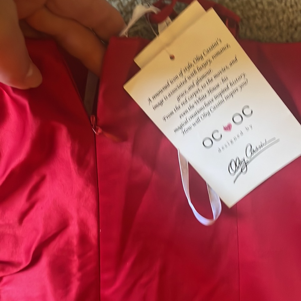 Red Silk Dress - Picture 7 of 11